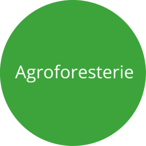 Pastille avec écriture "Agroforesterie"