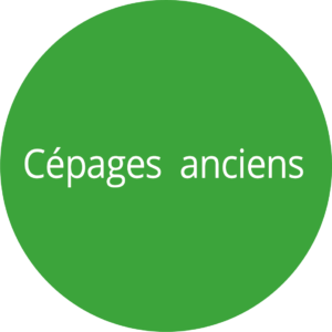 Pastille avec écriture "cépages anciens"